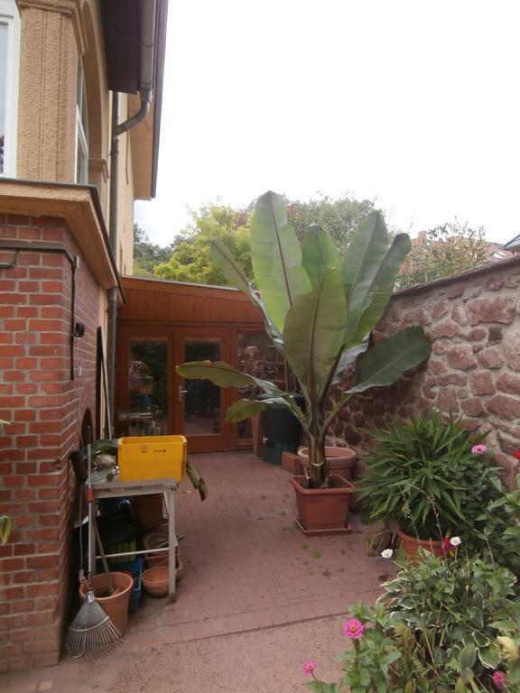Ferienwohnung Saaleblick Halle  Zewnętrze zdjęcie